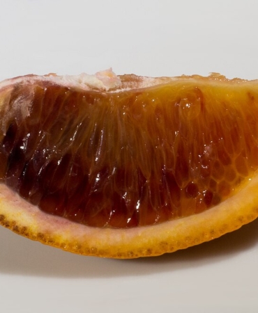 C vitamini kaynağı portakal dilimi