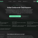 CashyGo anket görevleri sayfası ekran görüntüsü