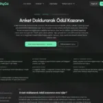CashyGo anket görevleri sayfası ekran görüntüsü