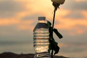 Gül ve cam şişe